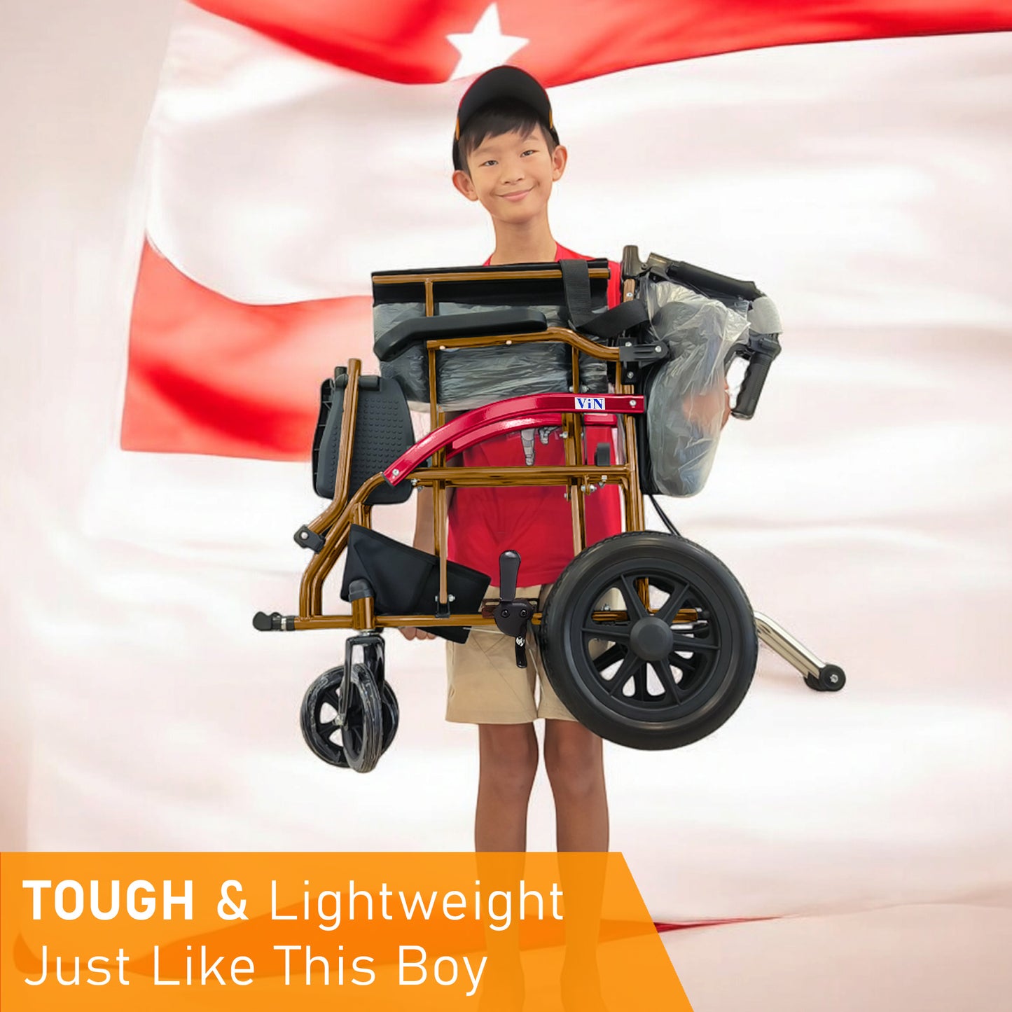 ViN DY821 | Pushchair + Aluminum Lightweight & Anti Rust+ Washable Cushion + Armrest Lift Up + Retractable Footrest+ Anti Tipper