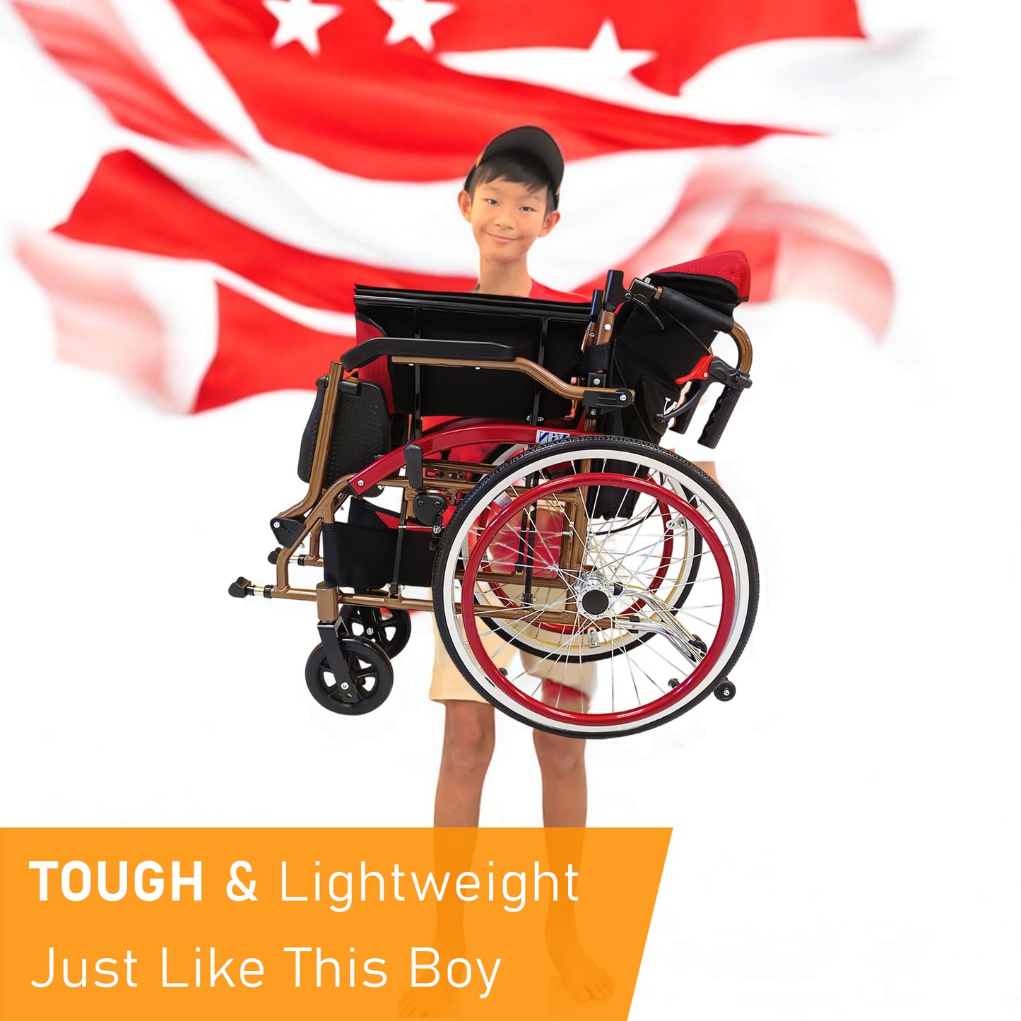 ViN-DY879 | Self Propelled Wheelchair - Flip-Up Armrest - Retractable Footrest - Anti Tipper