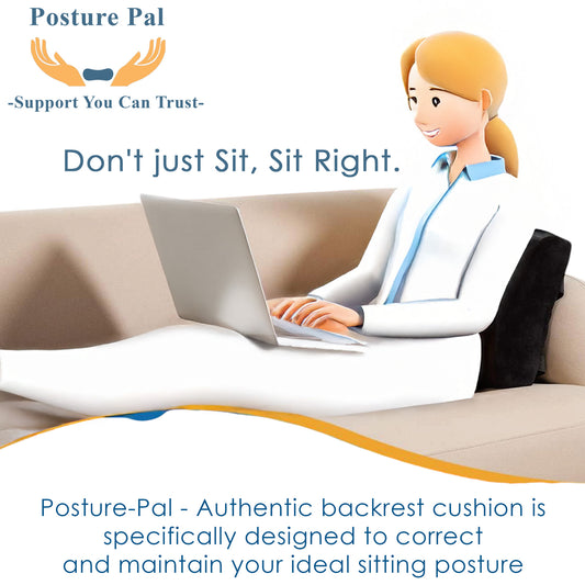 ViN-B01 - Lumbar Pillow Back Pain Relief for Chair & Car with Velvet Cover