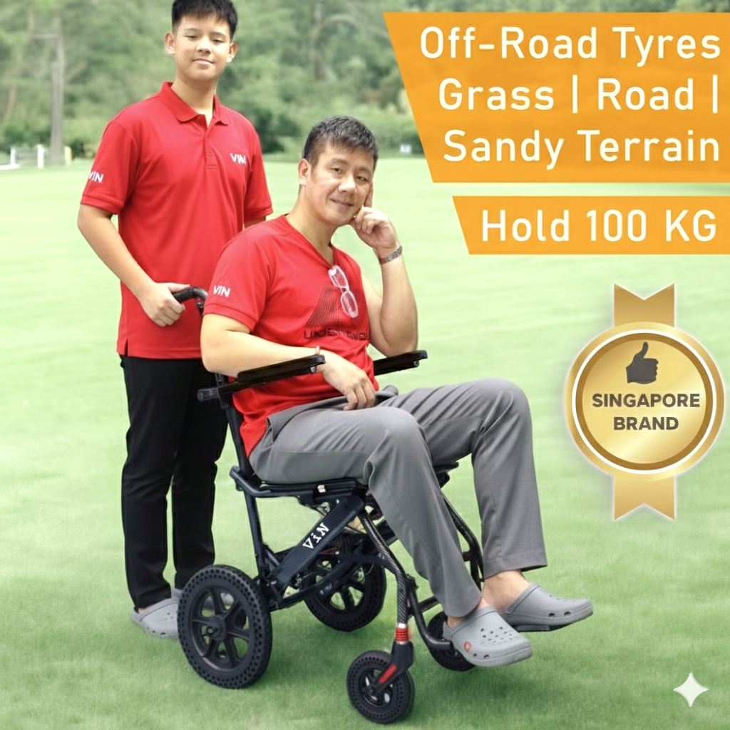 ViN-DA07 | Travel Pushchair -  Lightweight 10 kg Pushchair Hold 100 Kg + Armrest Flip Up Function with Luggage Pull handle & Carrier bag